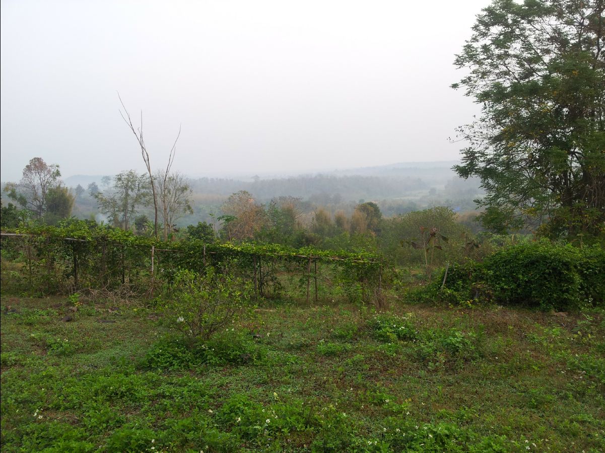201302 Chiang Mai24